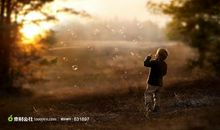 遇见在那个午后