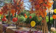 一次特殊的活动