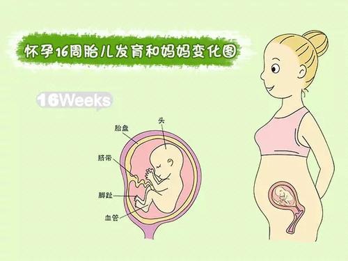 你认识妈妈吗