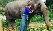 与大象的亲密接触