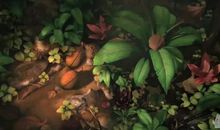 别让自私长成参天大树