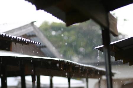 雨中的遐想