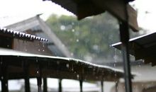 雨中遐思
