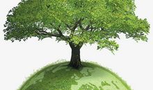 假如地球没有树木