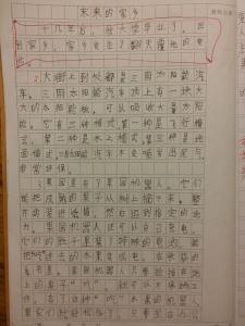 未来的衣服组成
