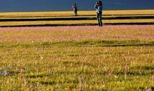 我就是一道风景