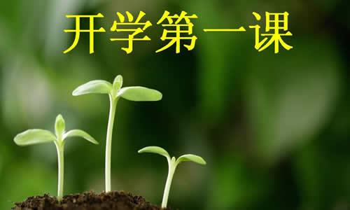 小草教了我一个深刻的教训
