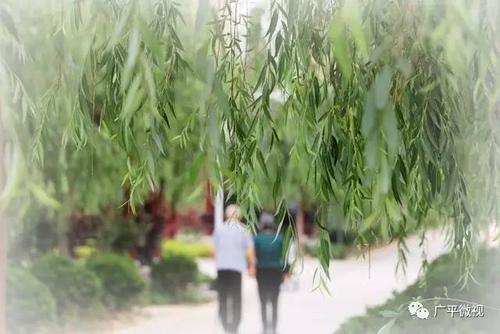 那些在河边的东西