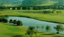 在城市遥望乡村