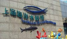 游上海海洋水族馆