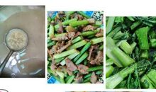 观察蘑菇生长日记