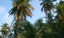 自然释放的无限美