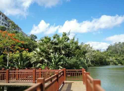 森林场景