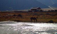我心中的那片天地