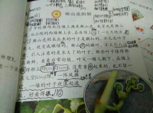 青少年读西游的思想