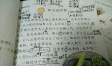 少年读西游读后感