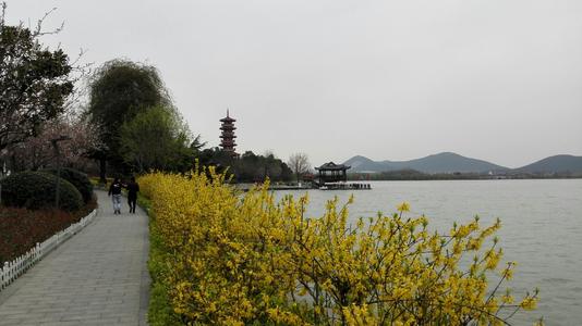 云龙山风光