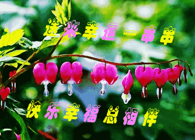 快乐的讯息