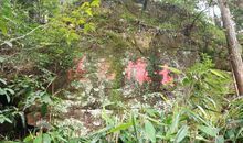 记一次深山探险