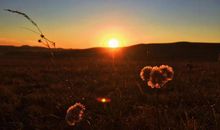 我家后院的秋天