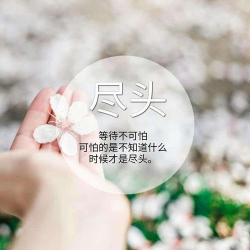 沉默的爱