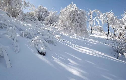 雪太深了