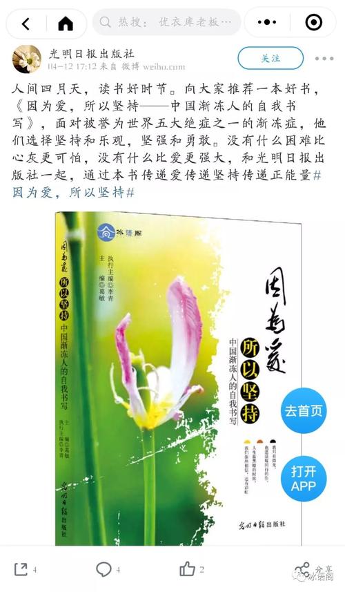 因为爱而坚持