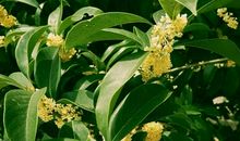 九月，新的启程