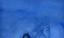 蝉鸣，童年岁月的一抹光