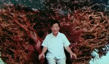 树静风止，子养亲待