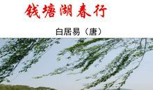 钱塘湖春行扩写