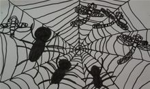 从蜘蛛过河织网中得到的启发