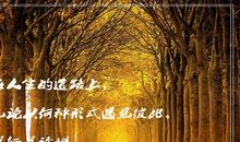 珍惜我们曾经的拥有