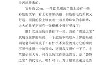 笔袋的自述作文300字