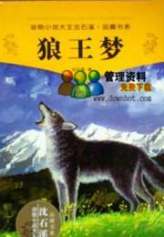 关于沉士熙作品集的思考