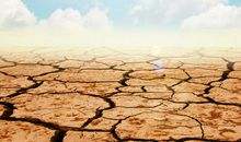 生命之源，共同守护