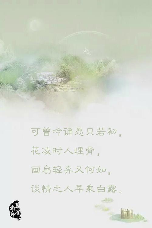 赞美草