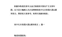 高中生入团志愿书300字