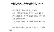 秋天的菜园作文300字