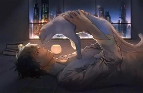 不会改变的是爱