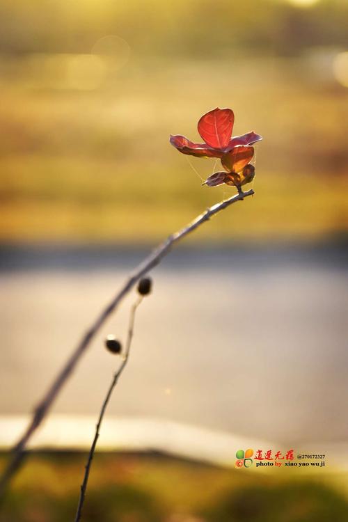 香气会影响我的感受