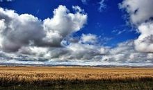 “啪”的一声——来自地球的眼泪