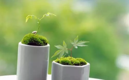 谦虚是一种崇高的教育
