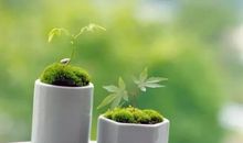 谦让是一种高贵的教养