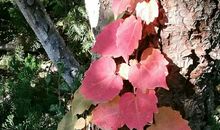 走进四季的校园