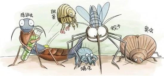 都是蚊子引起的