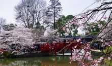 滨湖河的春夏秋冬