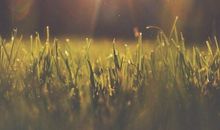 我生活在阳光里