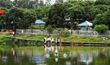 农家生活的乐趣