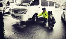 风雪中的一抹绿